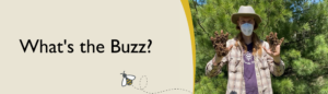 a banner image of a beekeeper from Humble Bee and the text "What's the Buzz?"